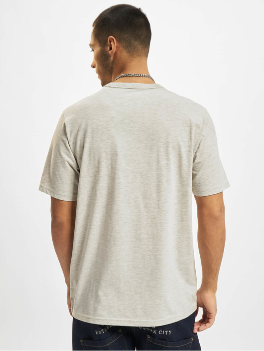 Männer t-shirts Dickies Herren T-Shirt Aitkin in grau
