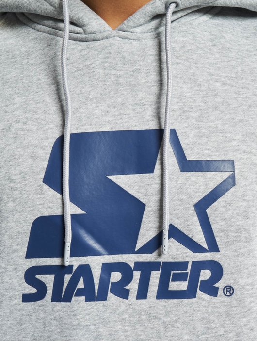 Männer hoodies Starter Herren Hoody The Classic Logo in grau