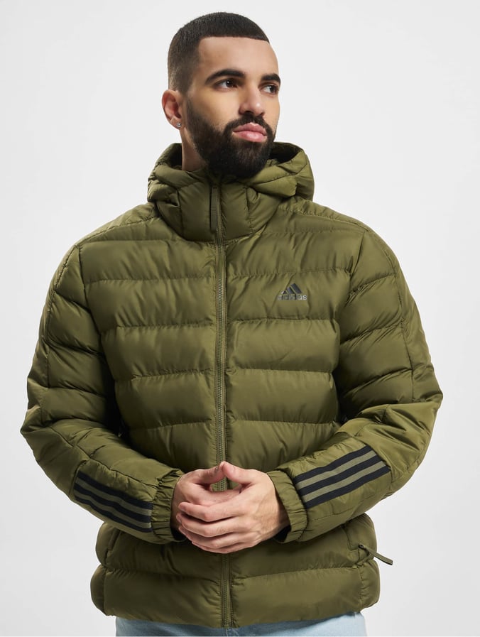 fluweel Zijdelings Pracht adidas Originals jas / Gewatteerde jassen Itavic in groen 934520