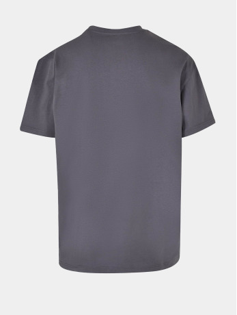 Ecko Unltd. / t-shirt Worldwide2 in grijs