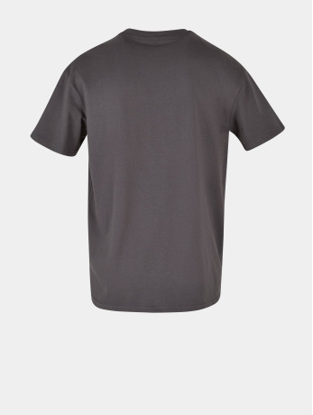 Mister Tee Upscale / t-shirt Nasa Moon Oversize in grijs
