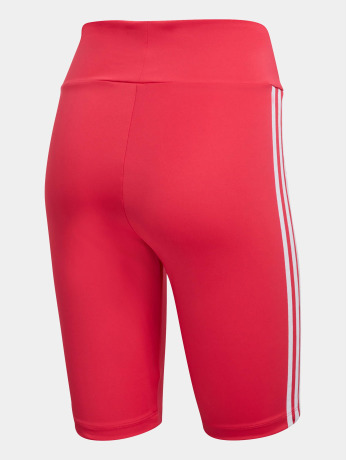 adidas Originals / shorts Originals Bike in pink