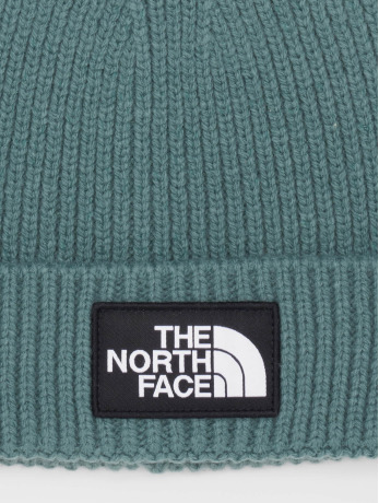 The North Face / Beanie Logo Box in groen