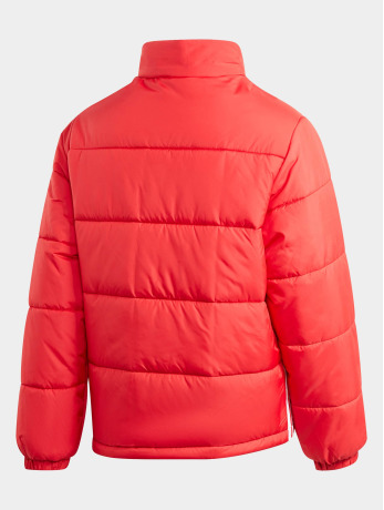 adidas Originals / Gewatteerde jassen Pad Stand Puffer in rood
