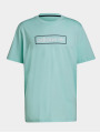 adidas Originals / t-shirt in groen