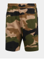 adidas Originals / shorts Camo Aop in groen