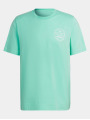 adidas Originals / t-shirt Club Logo in groen