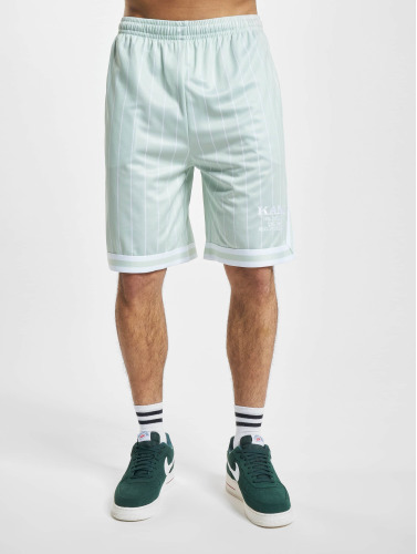 Karl Kani / shorts Retro Pinstripes Mesh in groen