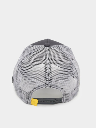 Capslab / trucker cap One Piece in grijs