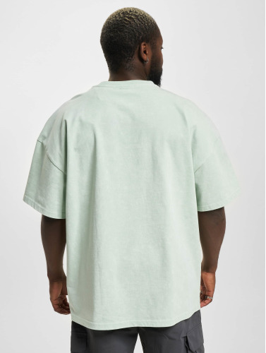 Karl Kani / t-shirt Small Signature Heavy Jersey Boxy in groen