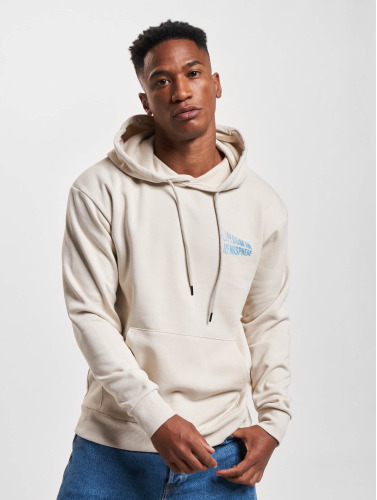 Jack & Jones / Hoody Lunar in beige