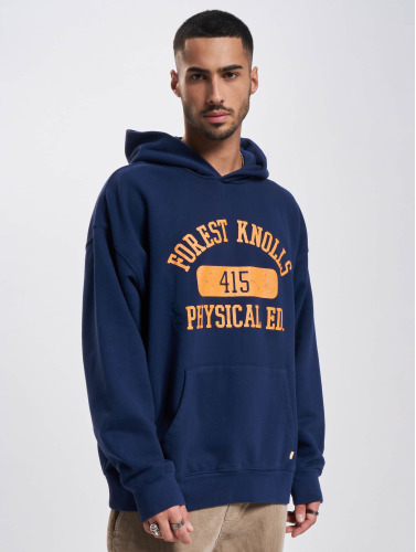 Levi's® / Hoody Golden Tab in blauw