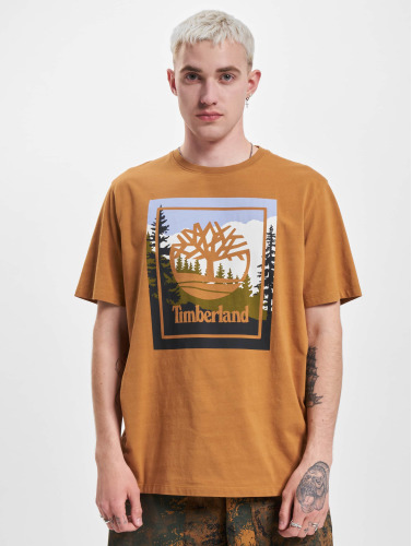 Timberland / t-shirt Outdoor Graphic Boot in bruin