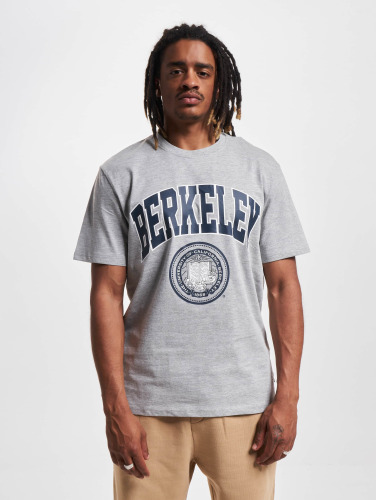 Only & Sons / t-shirt Berkeley in grijs