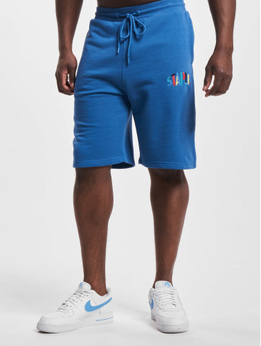 Staple / shorts Hillcrest Logo in blauw