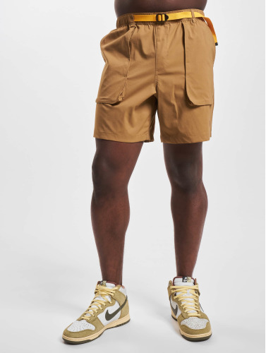 The North Face / shorts Class V in bruin