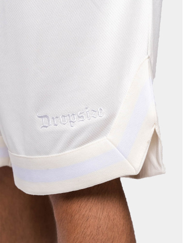 Dropsize / shorts Logo Mesh in beige