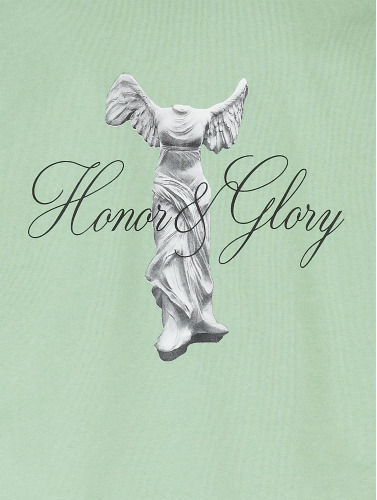 9N1M SENSE / Hoody Honor & Glory in groen