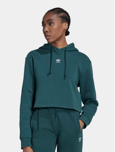 adidas Originals / Hoody Originals in groen