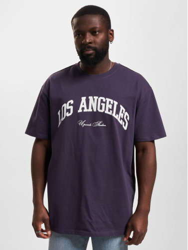 Mister Tee Upscale / t-shirt L.A. College Oversize in paars