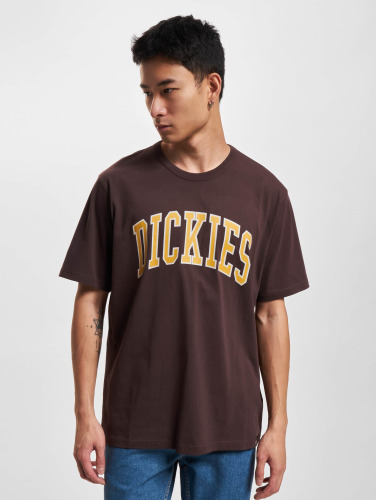 Dickies / t-shirt Aitkin in bruin