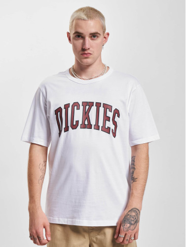 Dickies / t-shirt Aitkin in wit