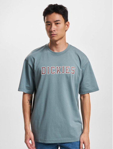 Dickies / t-shirt Melvern in blauw
