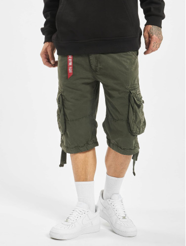 Alpha Industries / shorts Jet in grijs