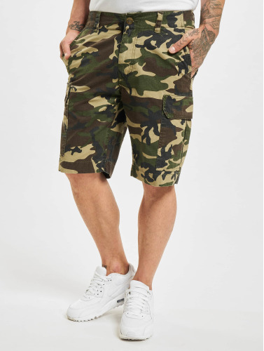 Dickies / shorts New York in camouflage