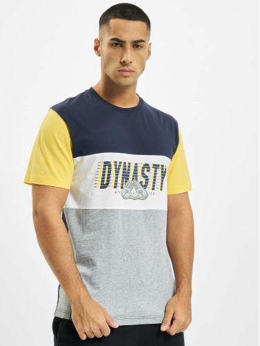 Cayler & Sons / t-shirt WL Dynasty ATHL in blauw