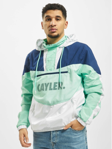 Cayler & Sons / Zomerjas WL Ocean Vida Half Zip in groen