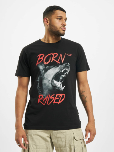 Mister Tee / t-shirt Born & Raised in zwart