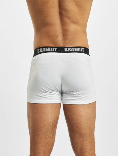 Brandit / boxershorts 2er Logo in wit