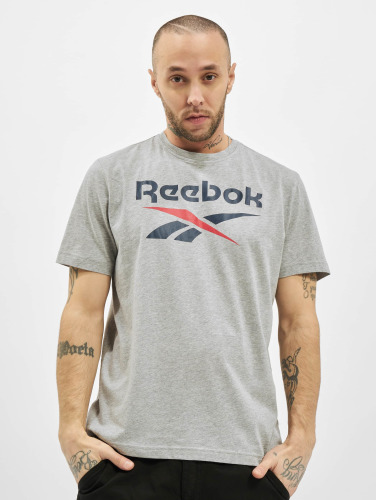 Reebok / t-shirt Identity Big Logo in grijs