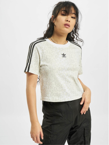 adidas Originals / t-shirt Trefoil Cropped in wit