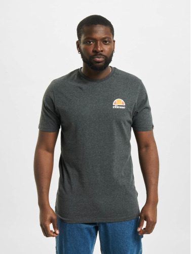 Ellesse / t-shirt Canaletto in grijs