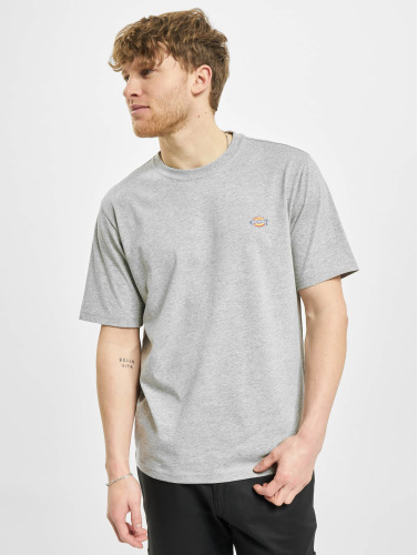 Dickies / t-shirt Mapleton in grijs