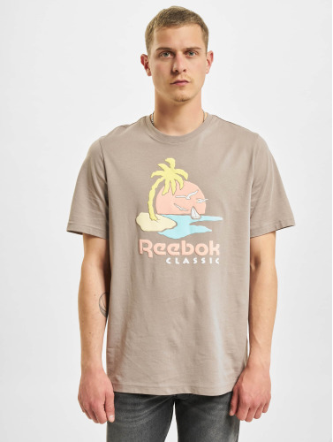 Reebok / t-shirt Classics Summer Graphic in grijs