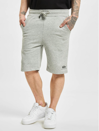 Alpha Industries / shorts Basic Sl in grijs