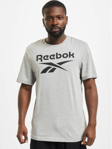 Reebok / t-shirt RI Big Logo in grijs