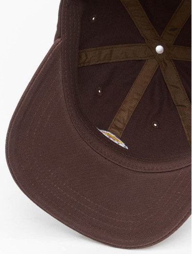 Dickies / snapback cap Hardwick in bruin