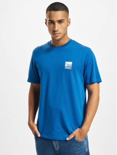 Dickies / t-shirt Taylor SS in blauw