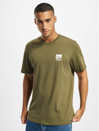 Dickies / t-shirt Taylor SS in groen