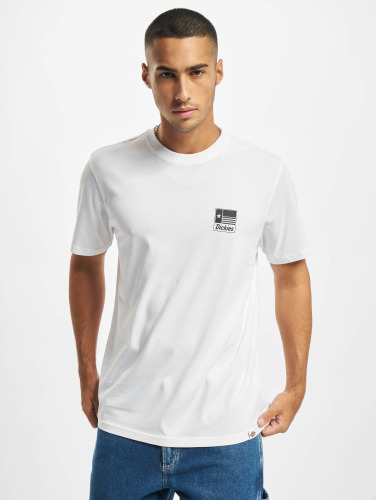 Dickies / t-shirt Taylor SS in wit
