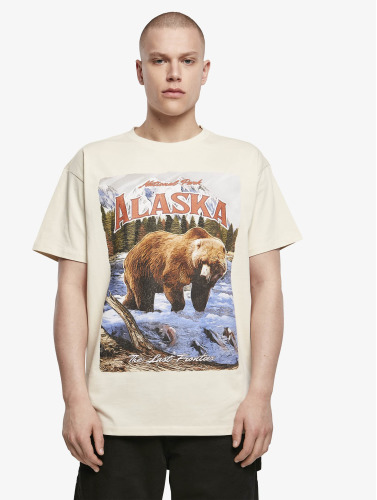 Mister Tee / t-shirt Alaska Vintage Oversize in beige