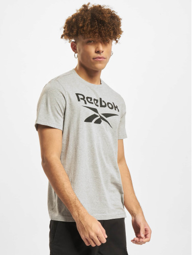 Reebok / t-shirt Ri Big Logo in grijs