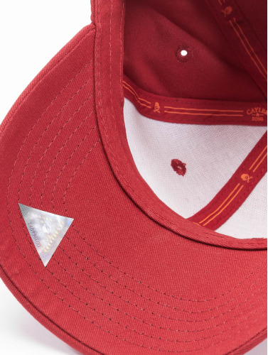 Cayler & Sons / snapback cap Wl Drop Out Curved in rood