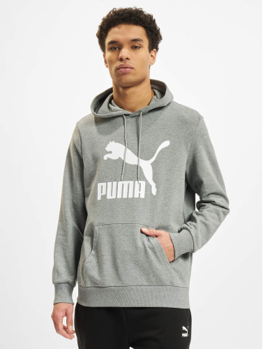 Puma / Hoody Logo TR in grijs