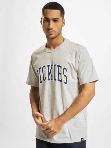 Dickies / t-shirt Aitkin in grijs