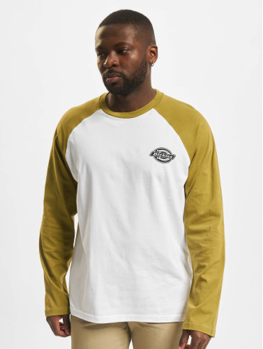 Dickies / Longsleeve Cologne in groen